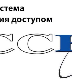 Программное обеспечение «I.Access»